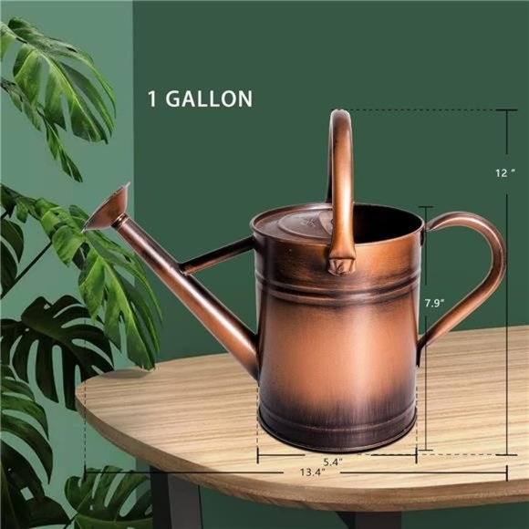 1 Gallon Watering Can - Copper Finish. Galvanized Steel Pot w Removable Spout - Picture 7 of 7